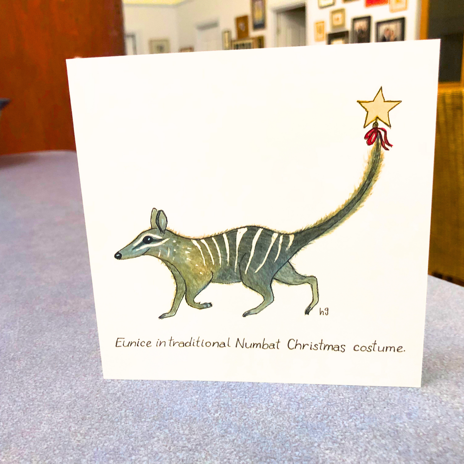 A sweet little numbat with a gold star tied to its tail with a red ribbon. The text reads "Eunice in traditional Numbat Christmas costume".